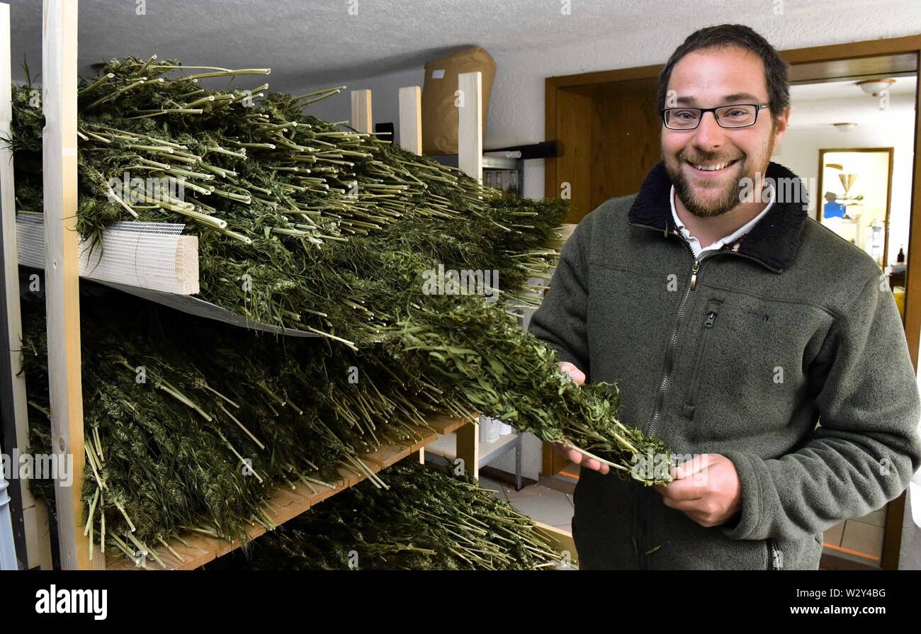 26 aprile 2019, il Land Turingia, Wachstedt: Christoph Weidner, signore del castello, ambientale pedagogo e automotive tecnico meccatronica, memorizza la canapa in 800-anno-vecchio castello Gleichenstein nell'Eichsfeld nel nord della Turingia. Il 35-anno-vecchio figlio di un sacerdote che affonda le sue radici nella parte orientale della Turingia ha acquisito il male il castello danneggiato lo scorso anno al fine di salvare e rilanciare. È la pianificazione di un posto per la celebrazione e per la canapa manifattura di schiuma. Un piccolo museo è anche quello di essere costruito. Foto: Martin Schutt/dpa-Zentralbild/ZB Foto Stock