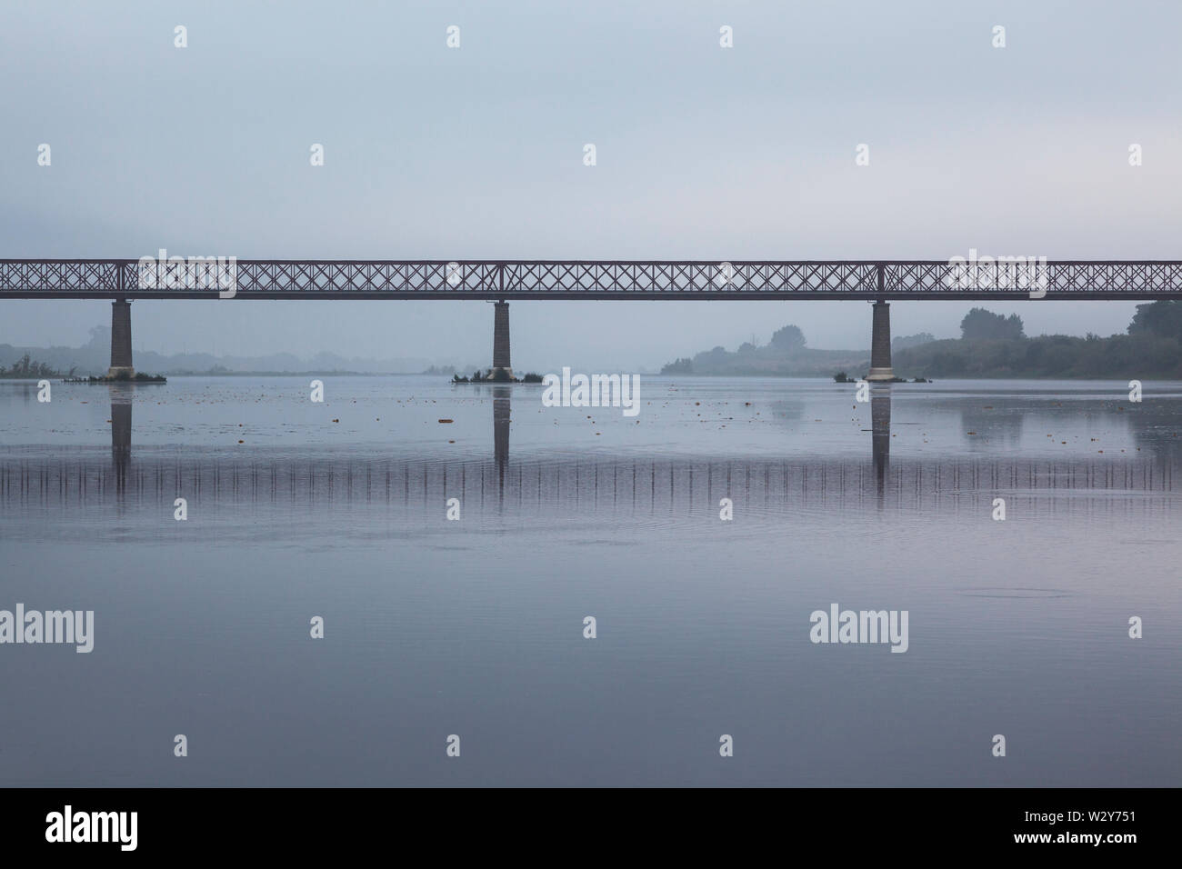 Span di Chamusca ponte (João Joaquim Isidro dos Reis ponte che attraversa il fiume Tejo in Golega, Portogallo. Foto Stock