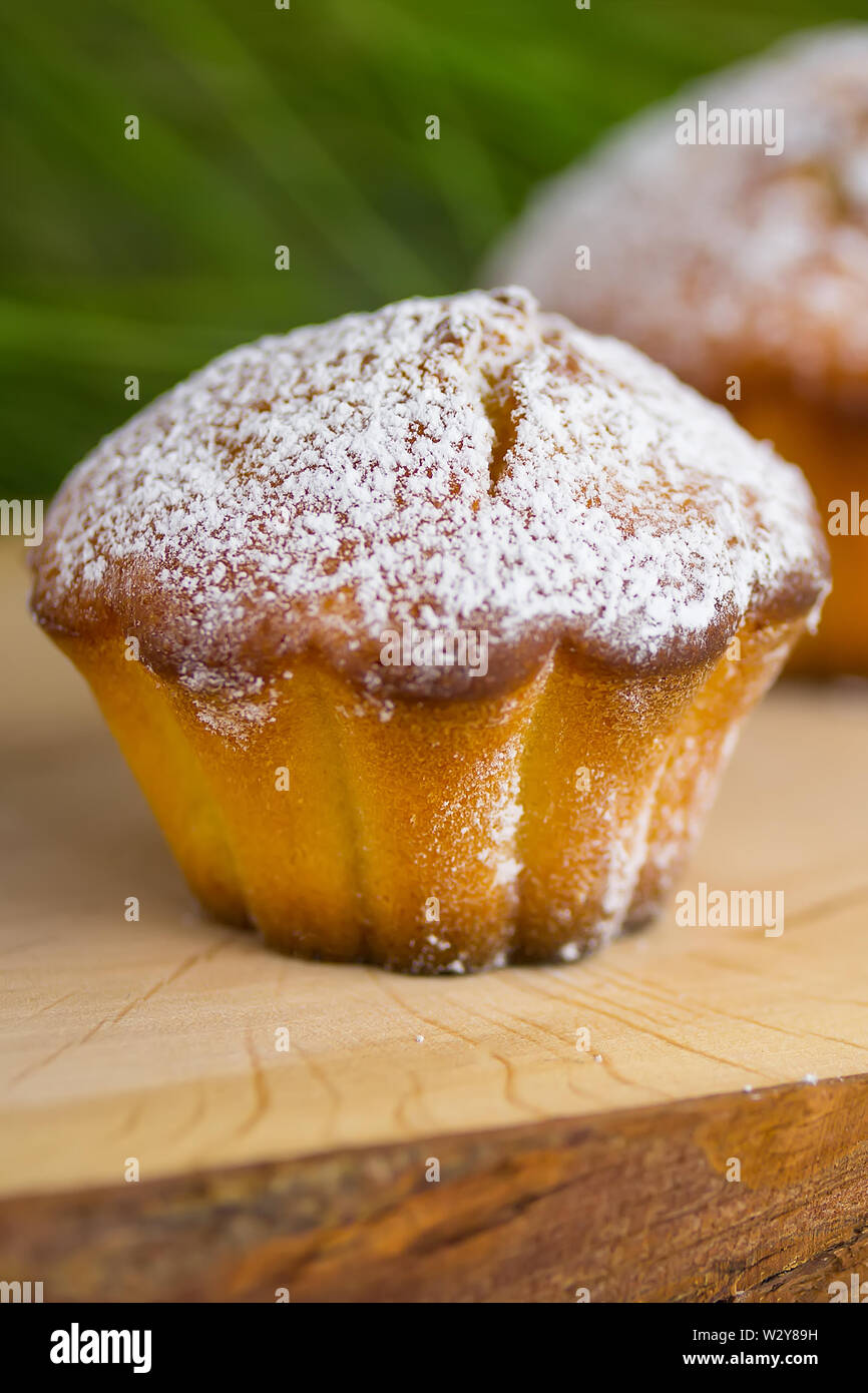 Base cotta Cup cake muffin o Foto Stock