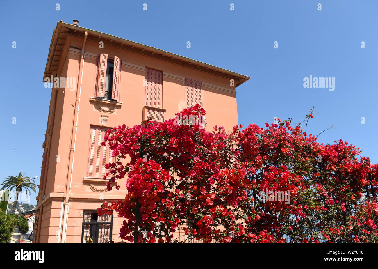 Bellissimi fiori di colore rosso e una casa rosa vicino al mare Mediterraneo Foto Stock