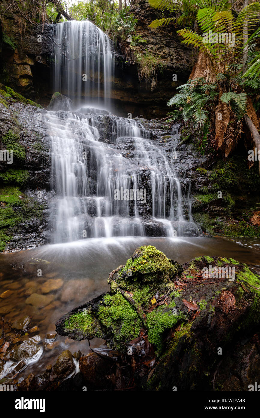La cascata nel bosco della Tasmania, Tasman National Park, Australia Foto Stock