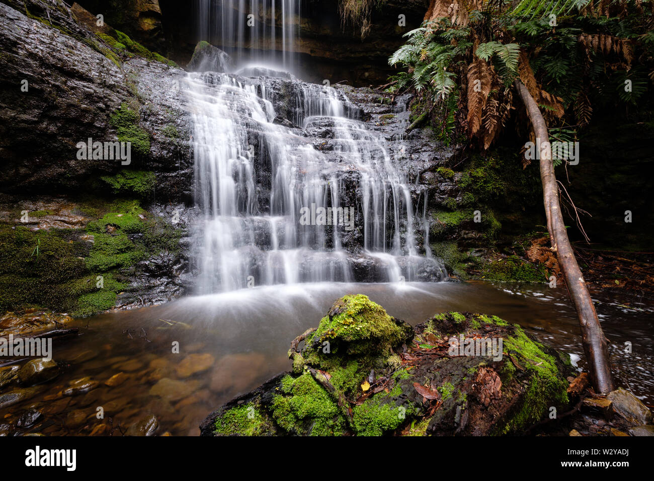 La cascata nel bosco della Tasmania, Tasman National Park, Australia Foto Stock