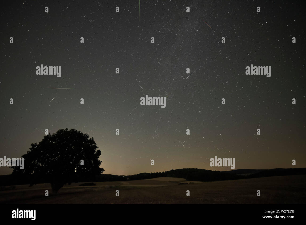 Shooting Star, Meteoroid, quercia Perseids, parco naturale Muenden, Bassa Sassonia, Germania, (Quercus) Foto Stock