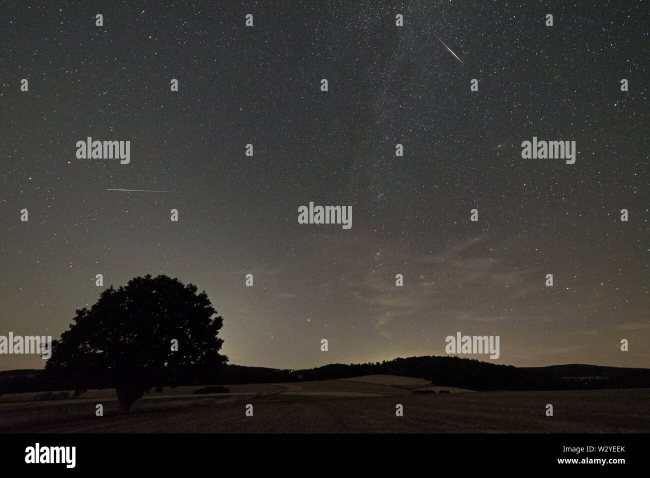 Shooting Star, Meteoroid, quercia Perseids, parco naturale Muenden, Bassa Sassonia, Germania, (Quercus) Foto Stock