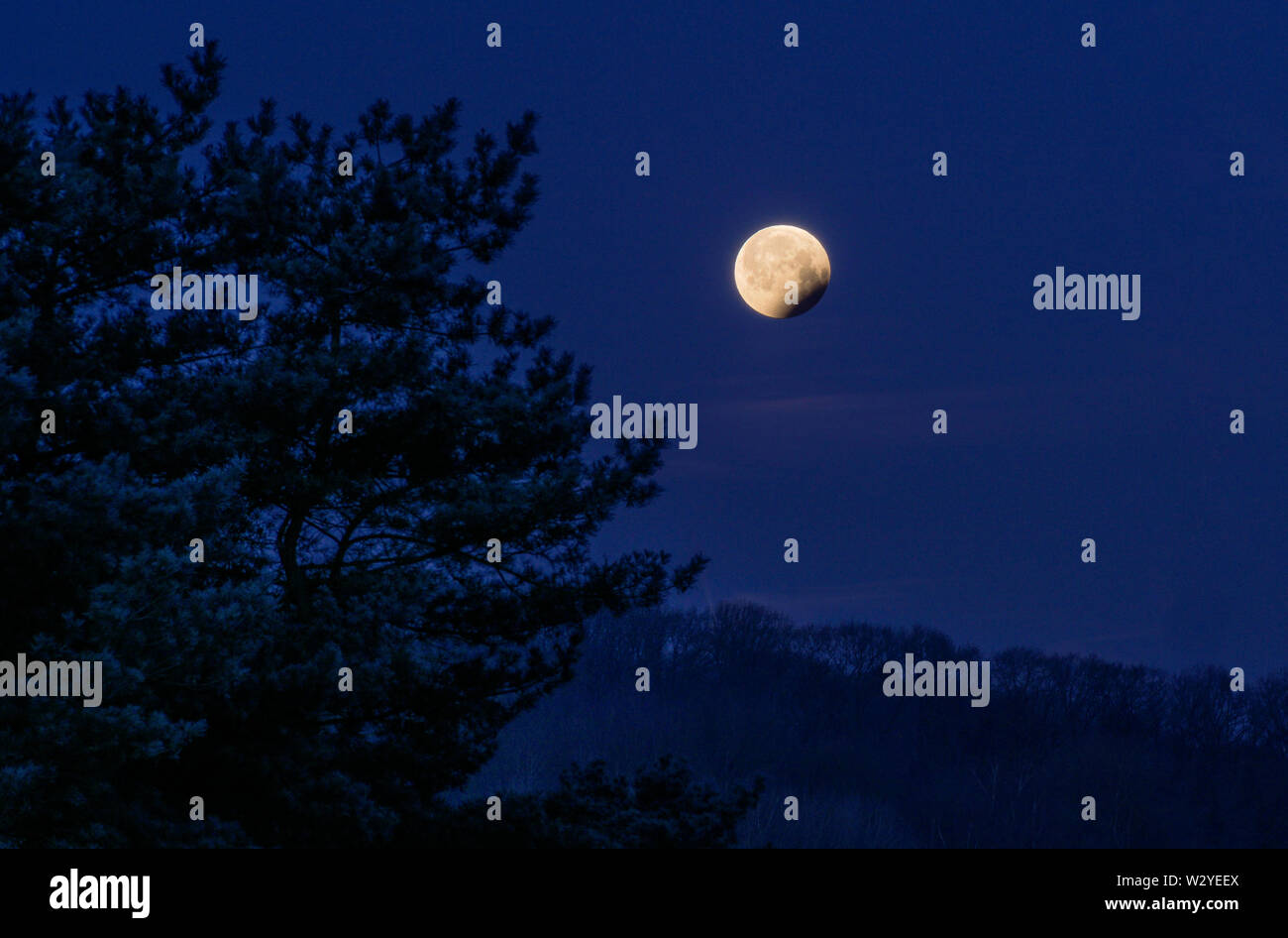 Lunar Eclipse, 2019-01-21, 7.43 am, Staufenberg, parco naturale Munden, Münden, Bassa Sassonia, Germania Foto Stock