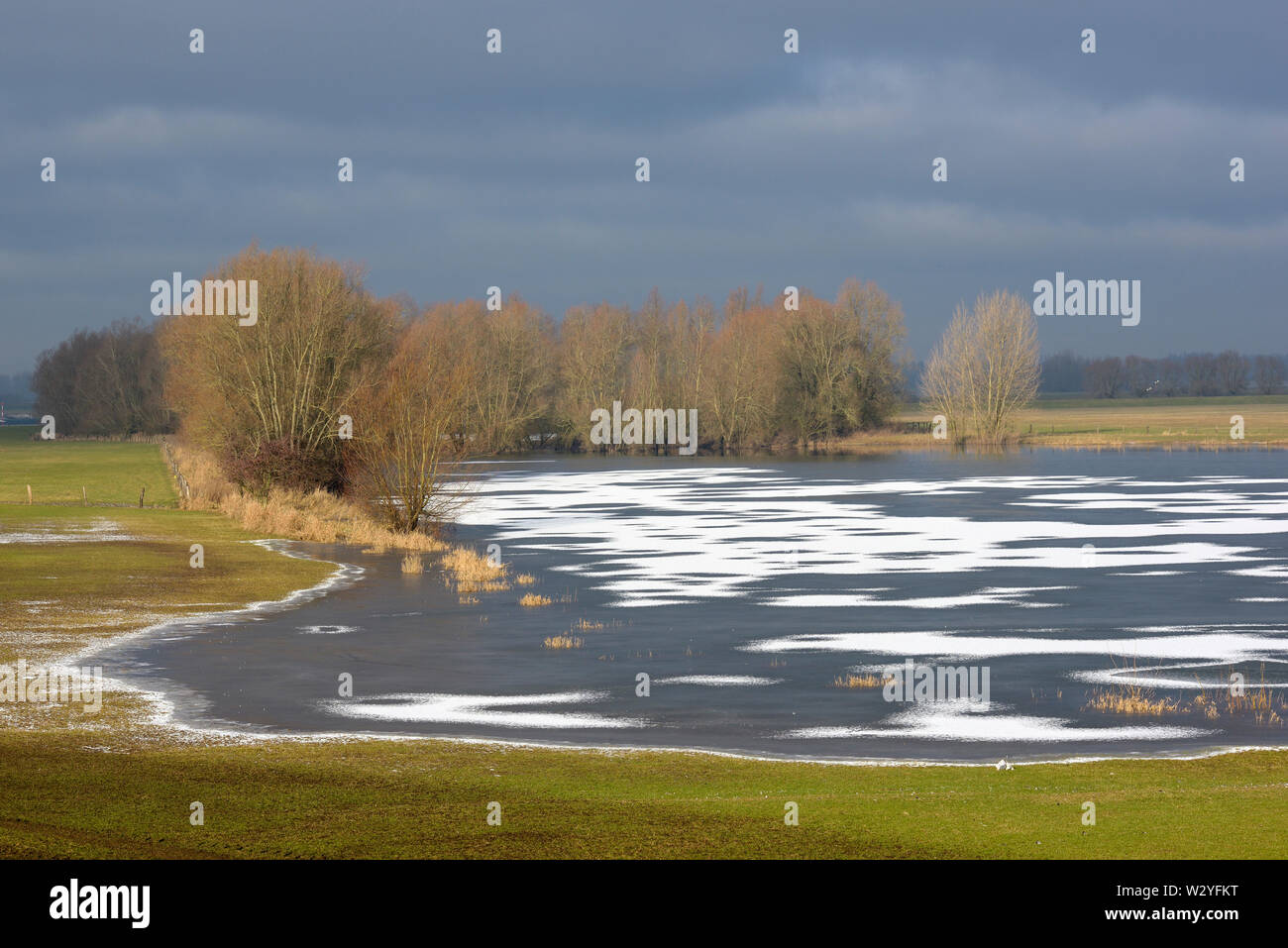 Lago ghiacciato al fiume Reno in inverno, gennaio, Rees, Basso Reno, Nord Reno-Westfalia, Germania Foto Stock