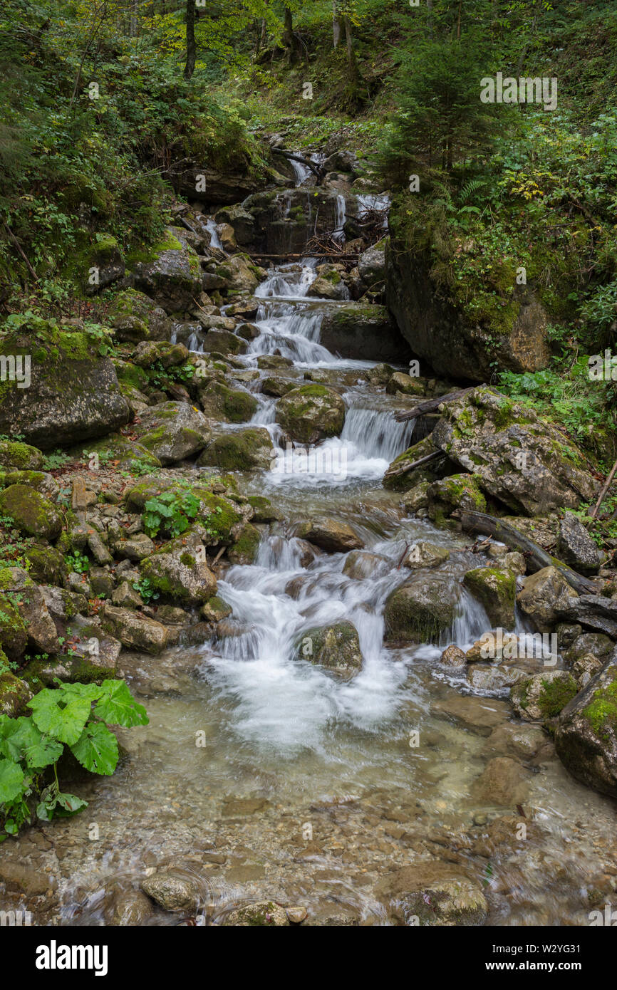 Ruscello di montagna, hirschbach valley, brauneck, regione di isarwinkel, Alta Baviera, alpi bavaresi, in baviera, isar valley, Germania Foto Stock