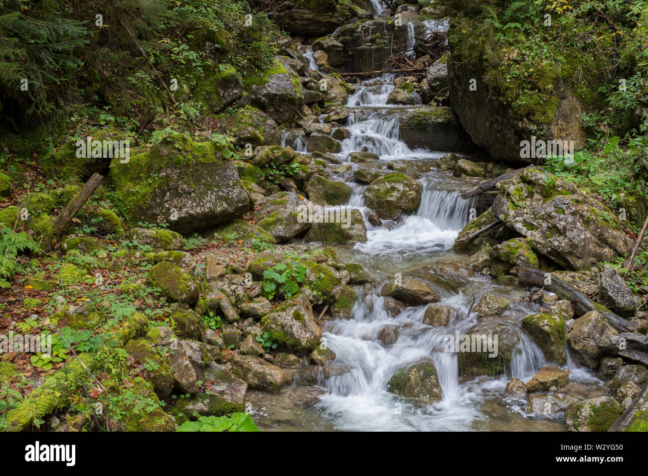 Ruscello di montagna, hirschbach valley, brauneck, regione di isarwinkel, Alta Baviera, alpi bavaresi, in baviera, isar valley, Germania Foto Stock