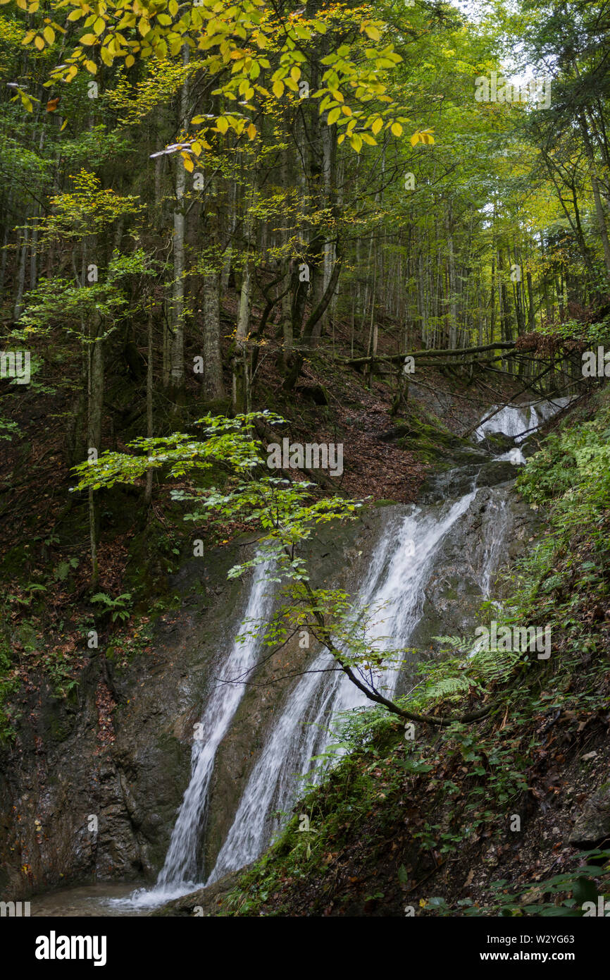 Ruscello di montagna, hirschbach valley, brauneck, regione di isarwinkel, Alta Baviera, alpi bavaresi, in baviera, isar valley, Germania Foto Stock