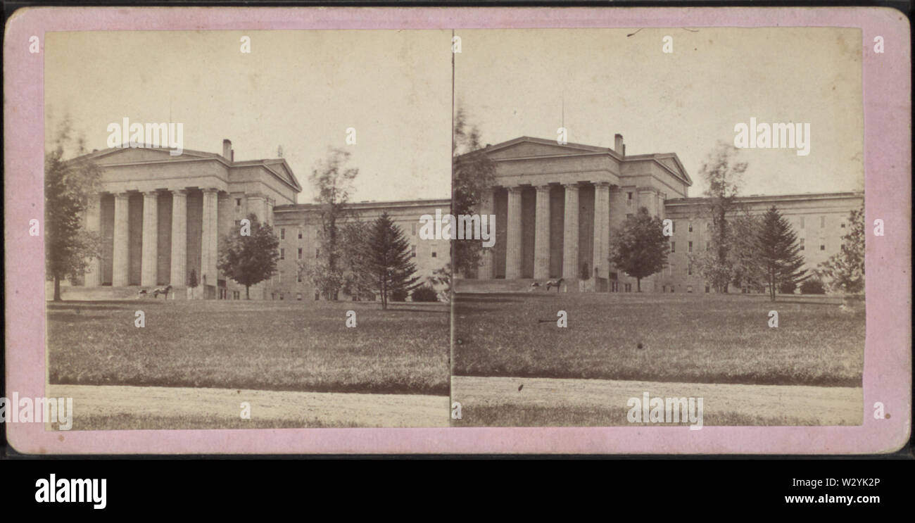 NYS manicomio, da prato, da William e James Foto Stock