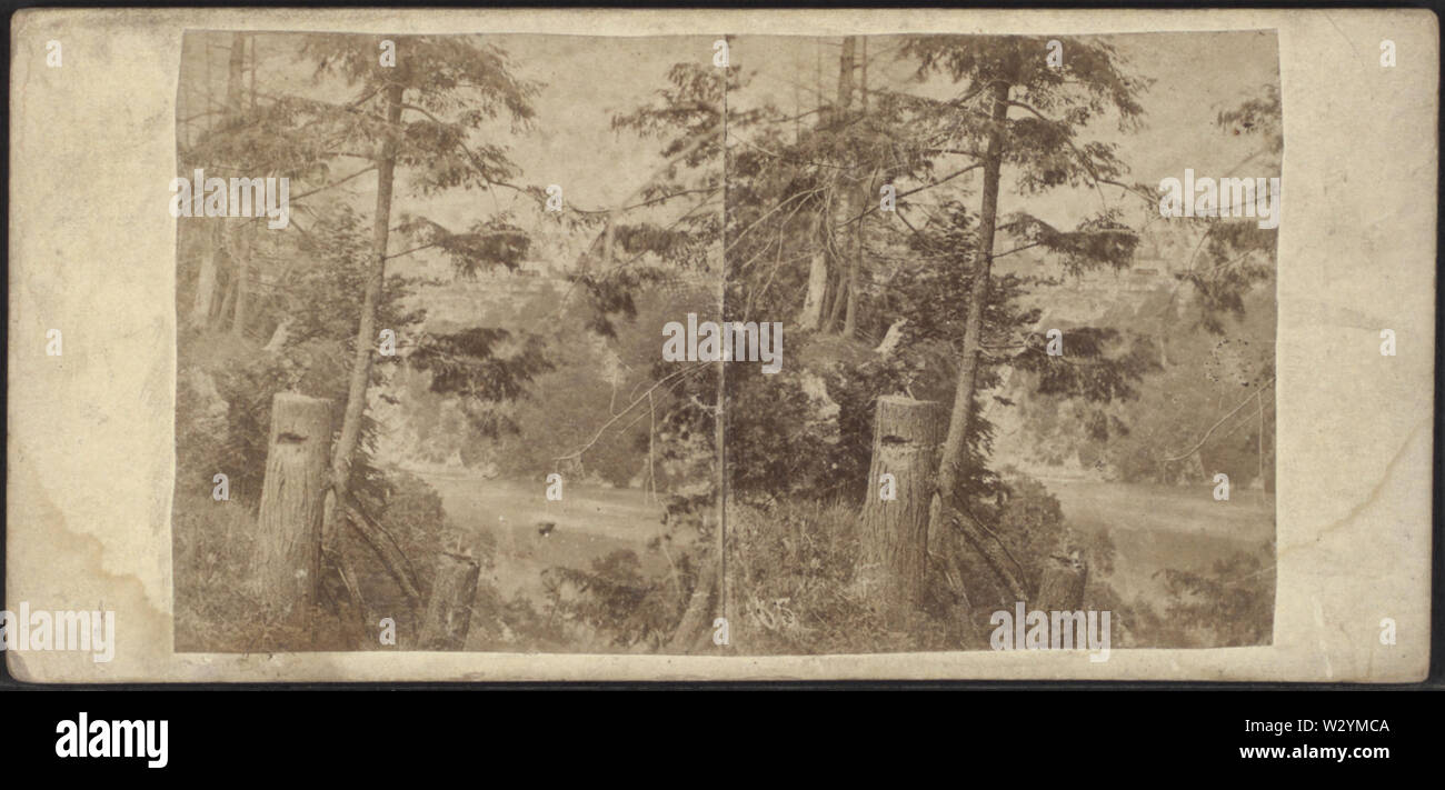 Vicino al ponte di sospensione lato Canada, da E & HT Anthony (Azienda) Foto Stock