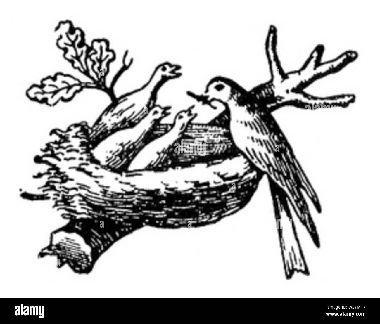 Nestle logo 1868 Foto Stock