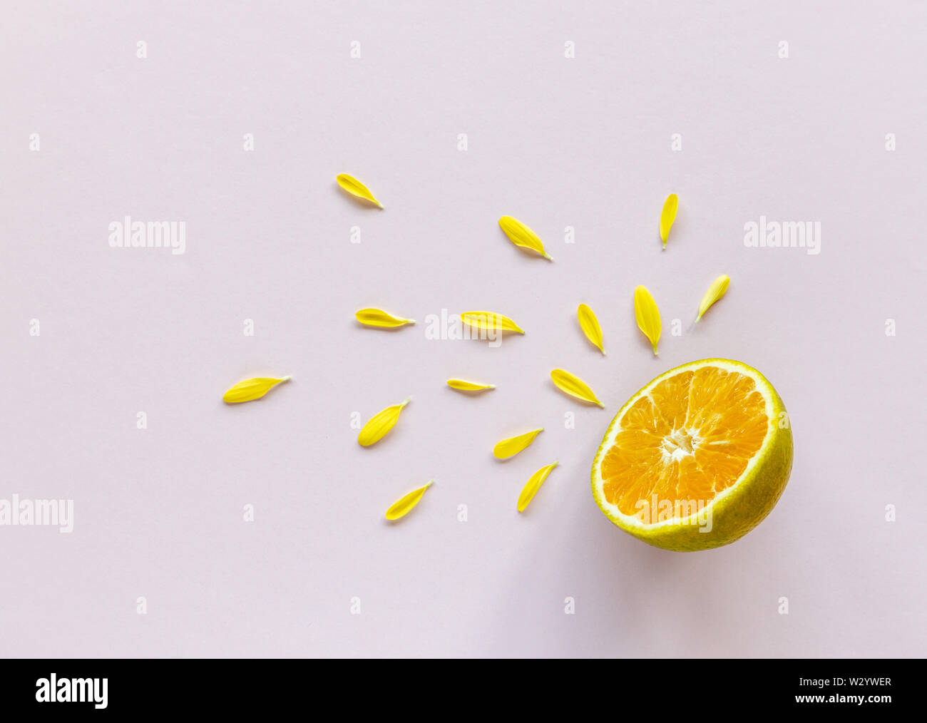 Limone ed arancia polposo con il concetto del fiore, freschezza Foto Stock