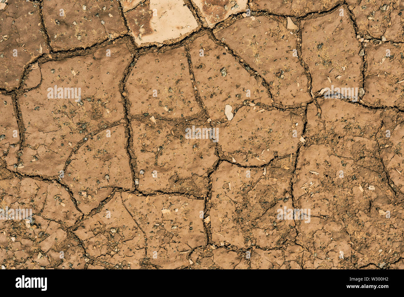 Fessurato a secco la massa di argilla del suolo e sullo sfondo la texture Foto Stock