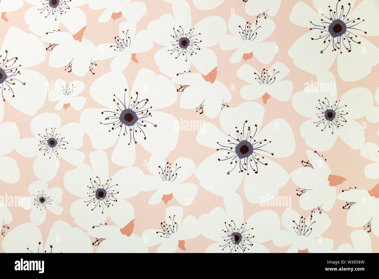 Fiori stilizzati graphic texture di sfondo delle risorse, molla fiori bianchi su sfondo rosa Foto Stock