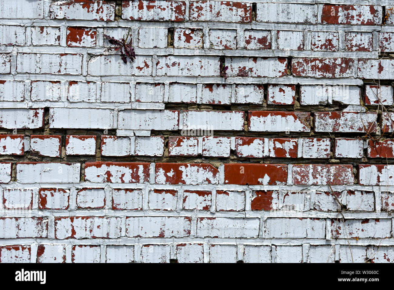 Muro di mattoni con la vecchia vernice bianca che si stacca e aggiungere ha profonde bella texture e utilizzare come sfondo Foto Stock