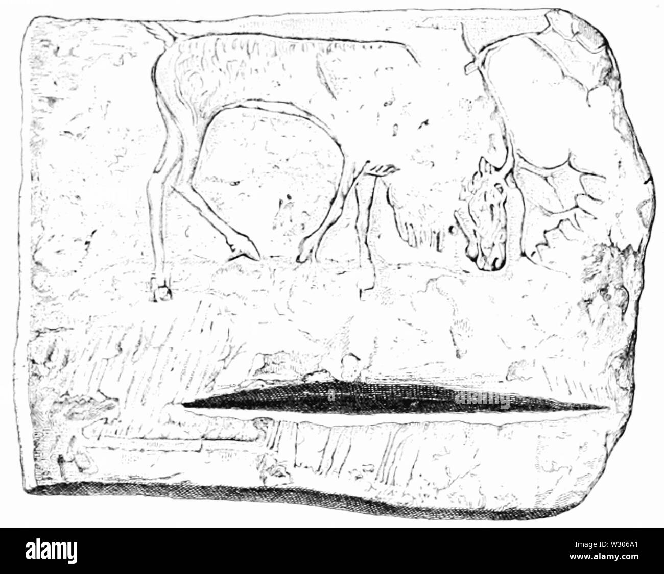 PSM V55 D028 di intaglio di ossa da thayngen Foto Stock PSM V55 D028 di intaglio di ossa da thayngen Foto Stock