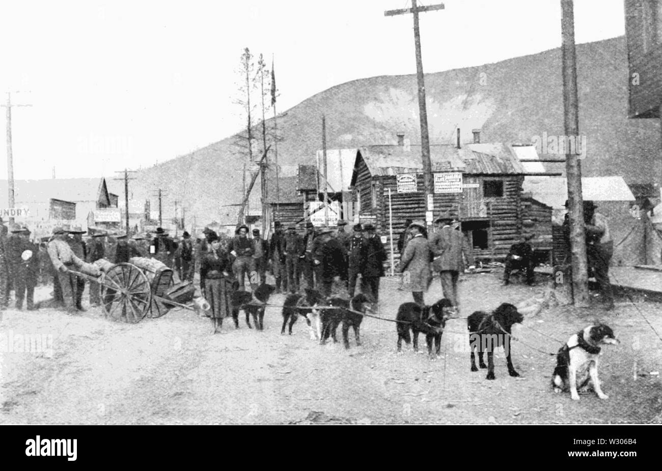 PSM V55 D186 cane team express in dawson Foto Stock