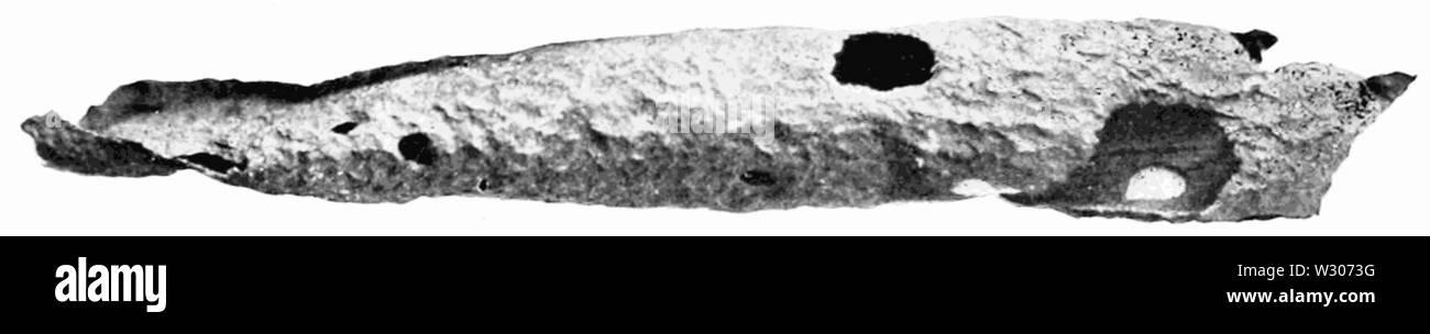 PSM V56 D0372 acqua salata effetti sulla tubazione in rame mediante elettrolisi Foto Stock