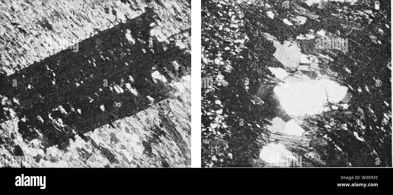 PSM V61 D155 cristalli di chloritoid e mica in quarzo Foto Stock