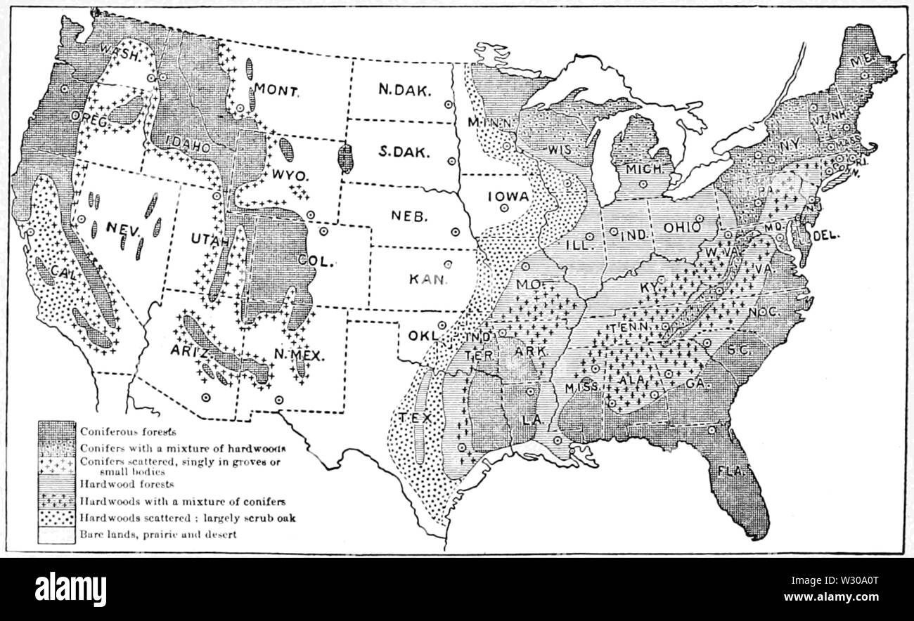 PSM V63 D378 mappa della foresta di stati uniti Foto Stock