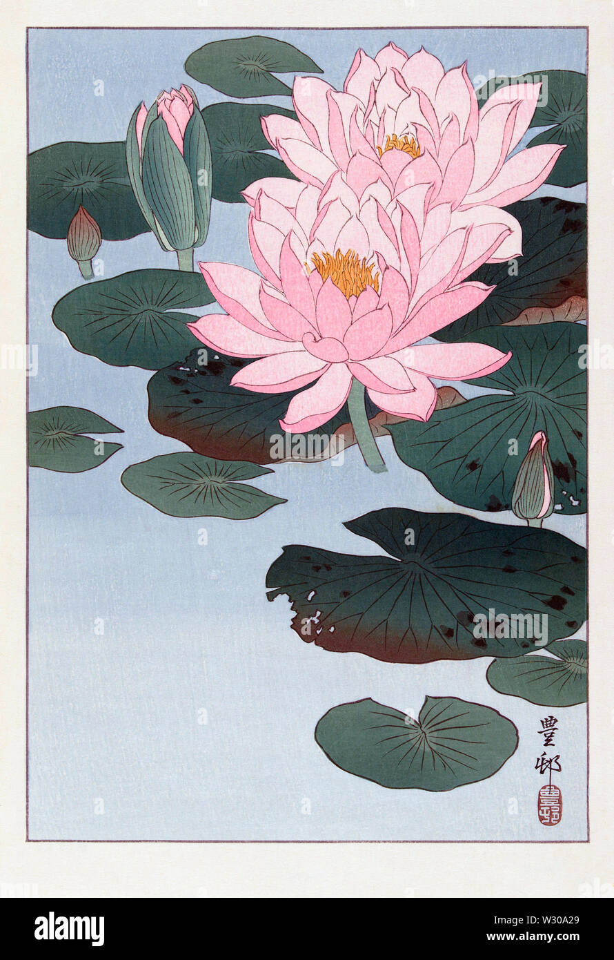 La fioritura del giglio d'acqua. Dopo una stampa dall'artista giapponese Ohara Koson, 1877 - 1945. Egli era nato Matao Ohara e firmato il suo lavoro Koson e successivamente Shōson. Foto Stock