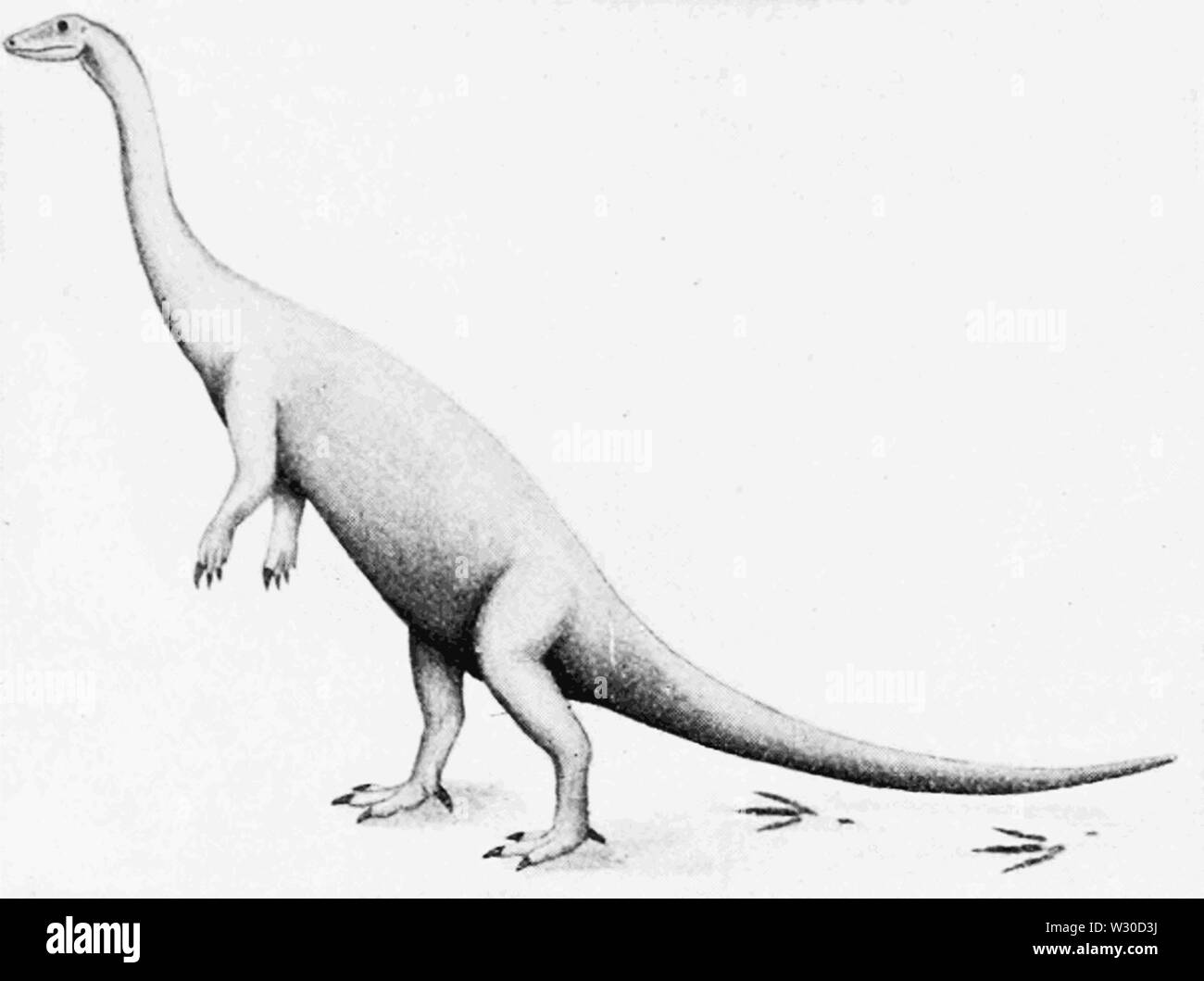 PSM V66 D145 il restauro del windsor nuovo dinosauro Foto Stock