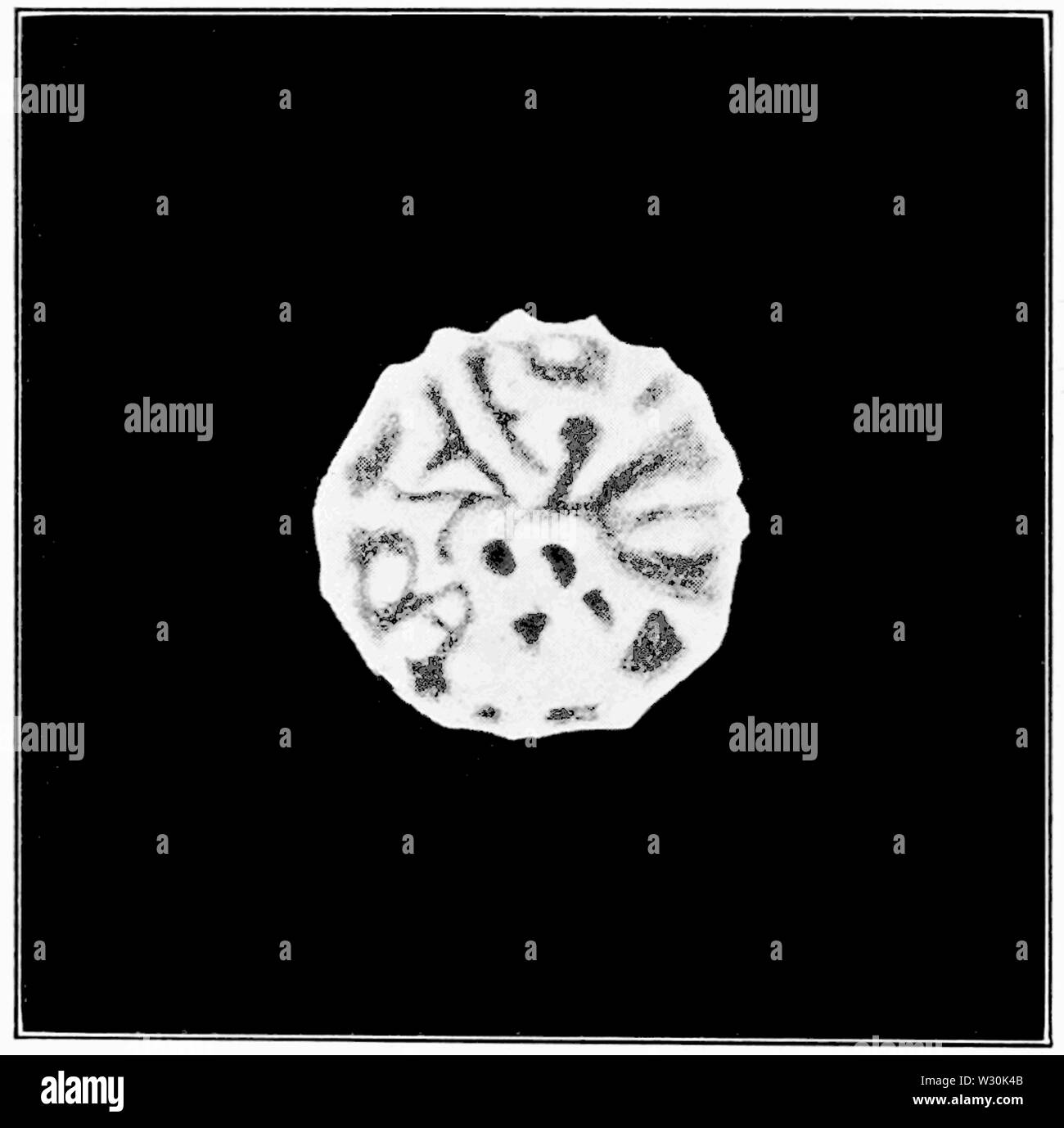PSM V70 D474 linee di struttura del cristallino Foto Stock