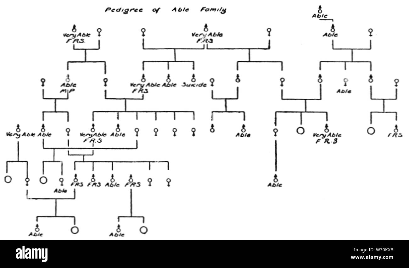 PSM V71 D398 Albero genealogico della famiglia in grado Foto Stock