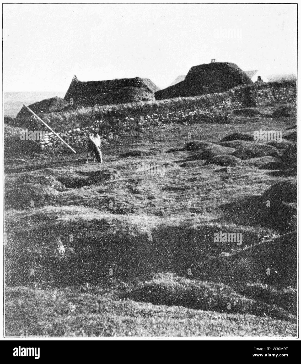 PSM V72 D088 fattoria islandese Foto Stock