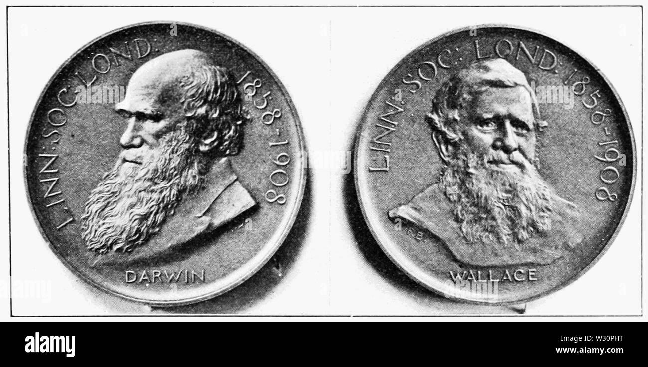 PSM V73 D479 Il Darwin wallace medaglia della società linnaean Foto Stock