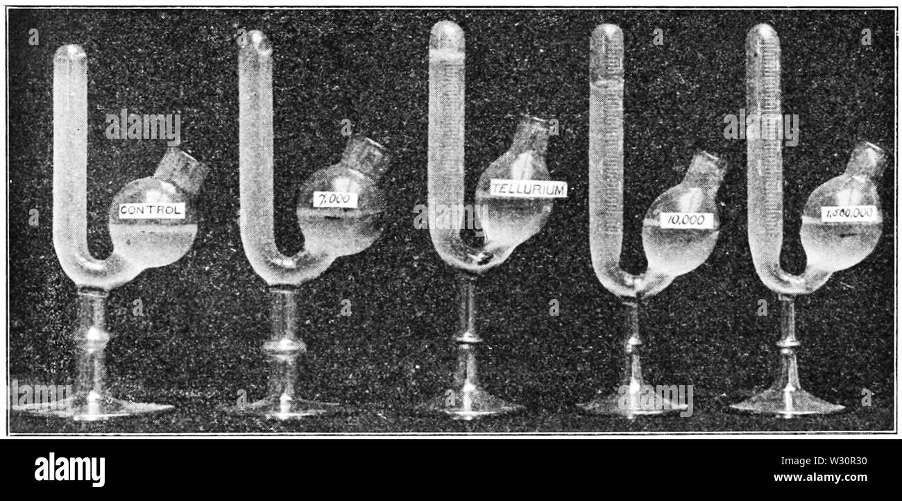 PSM V74 D234 effetti di differenti aria irradiata su semi di piante Foto Stock