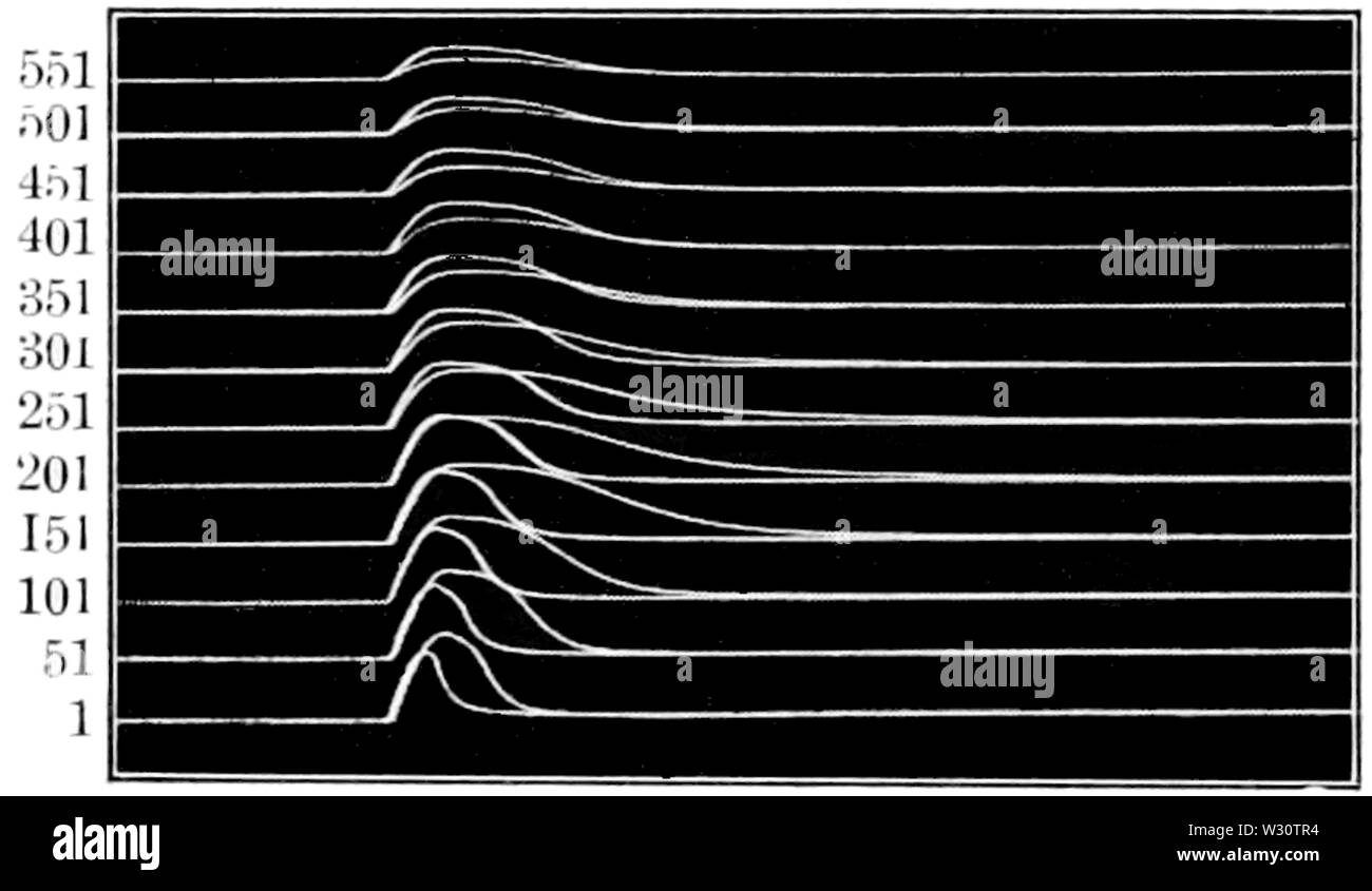 PSM V76 D190 grafico di una rana il muscolo gastrocnemio contrazioni Foto Stock
