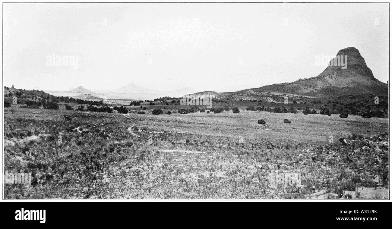 PSM V81 D242 Foresta di denudando le rocce vulcaniche san mateo New Mexico Foto Stock