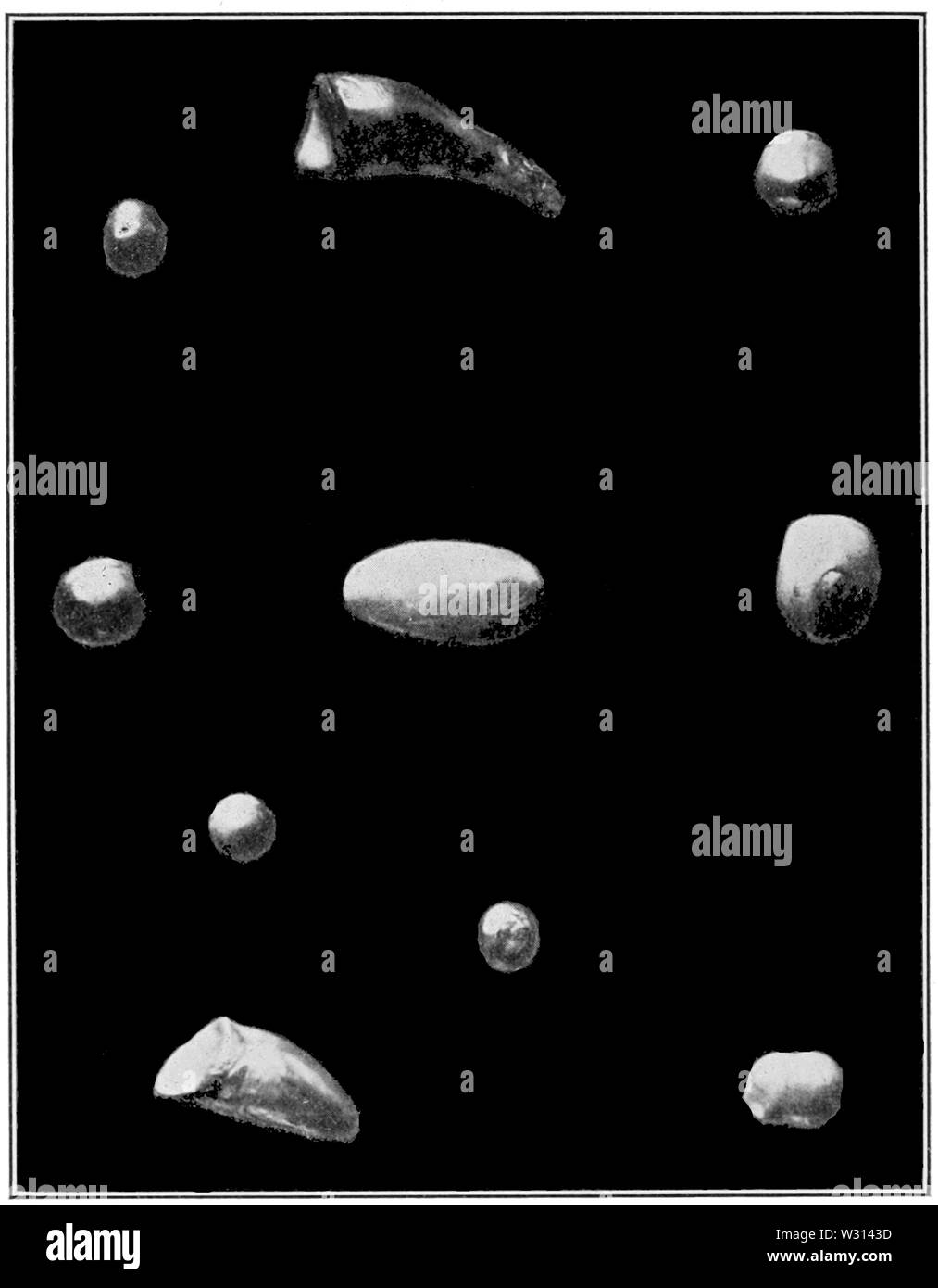 PSM V82 D548 perle libero dall'abalone Foto Stock PSM V82 D548 perle libero dall'abalone Foto Stock