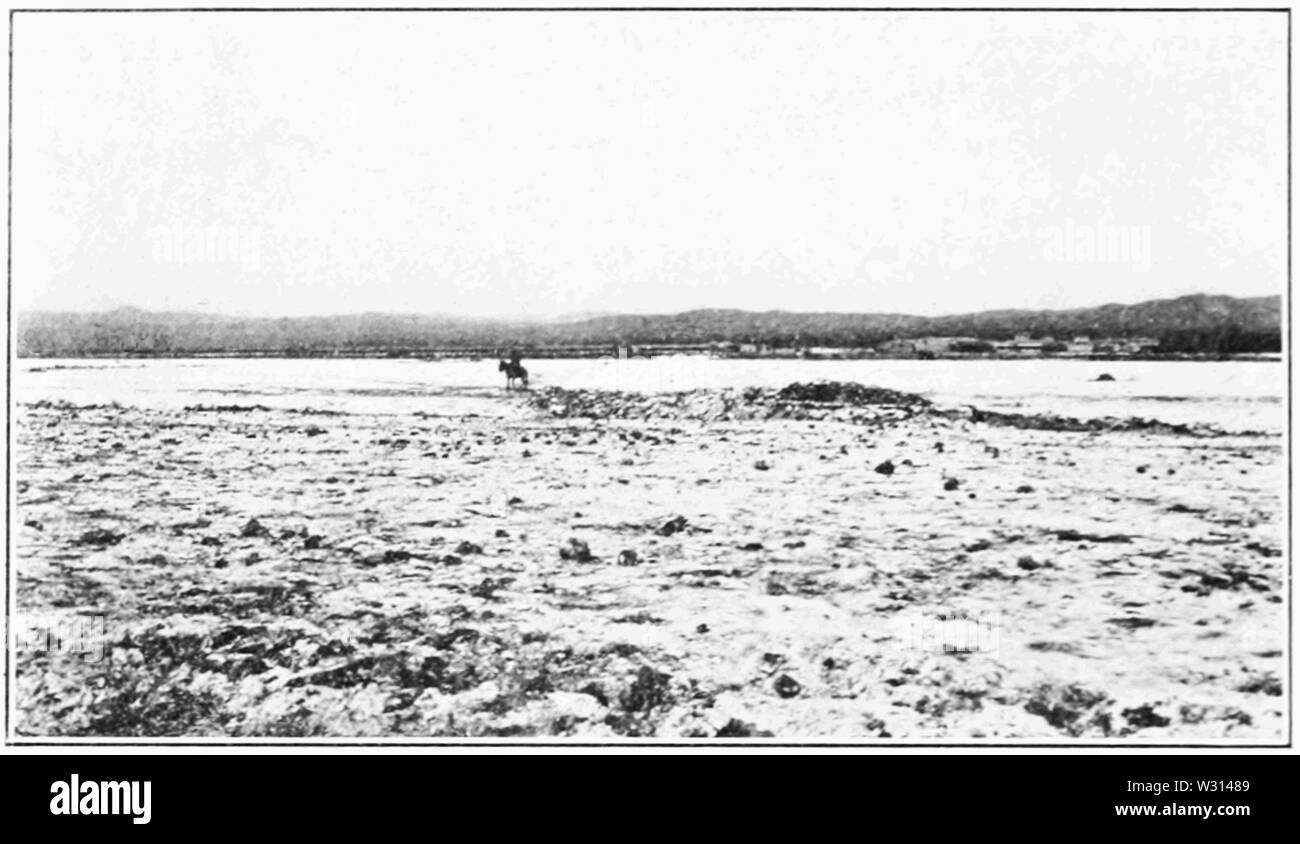 PSM V83 D216 uno dei grandi salares nella provincia di antofagasta Foto Stock