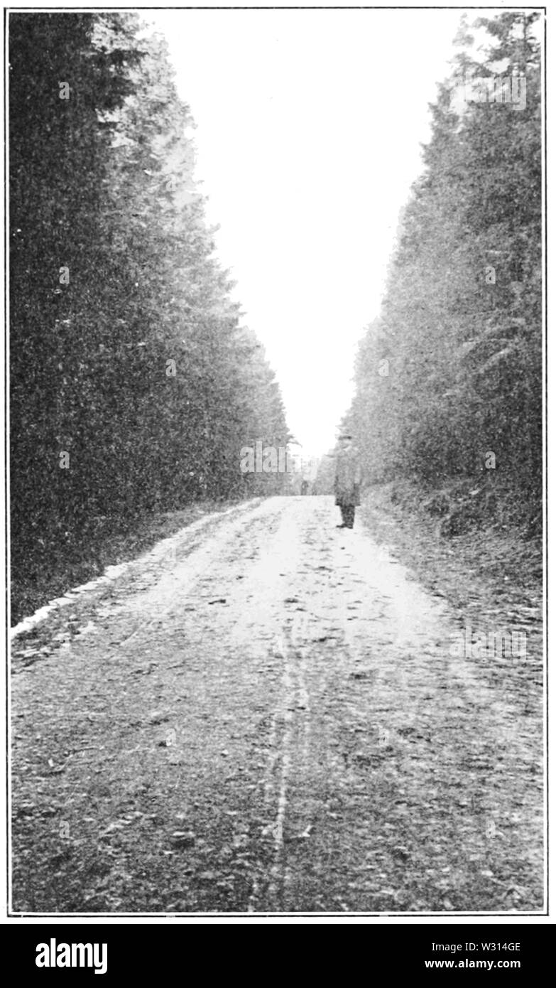 PSM V83 D599 Foresta strada macadam in Sassonia foresta vicino swartzenberg Sassonia Foto Stock