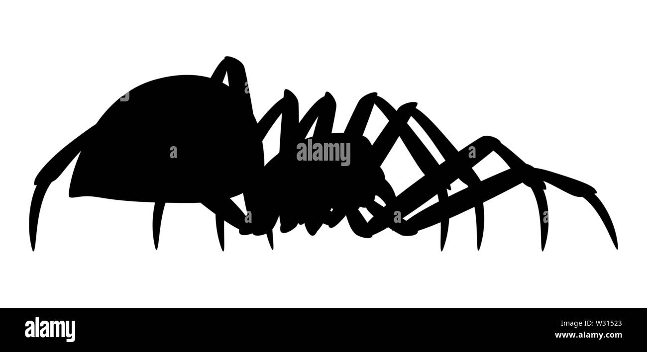 Black Widow spider silhouette. Illustrazione Vettoriale