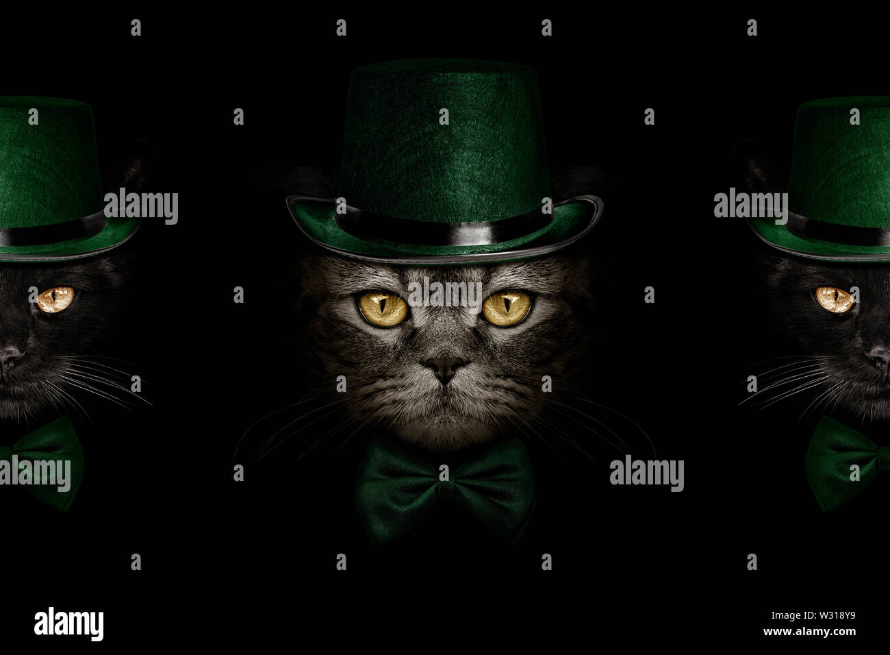 Muso scuro gatto nel cappello verde e la cravatta a farfalla per Foto Stock