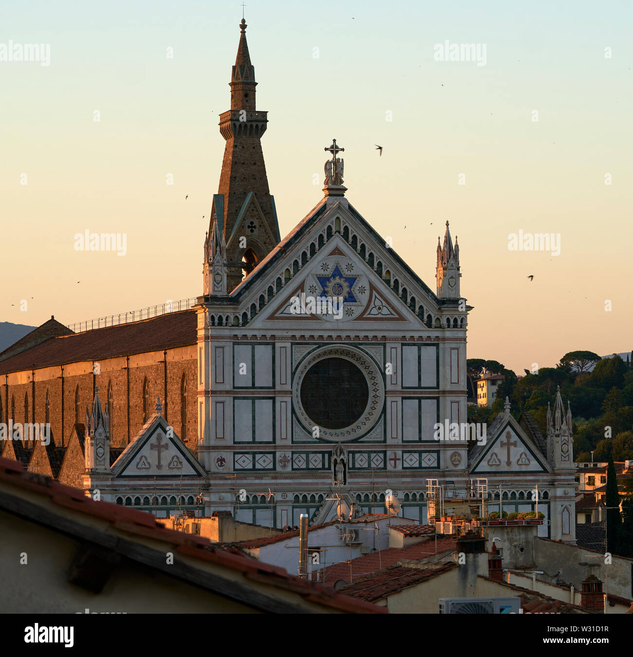 La Basilica di Santa Croce (Basilica di Santa Croce di Firenze all'alba con rondoni (Apus opus) battenti intorno alla guglia. Foto Stock