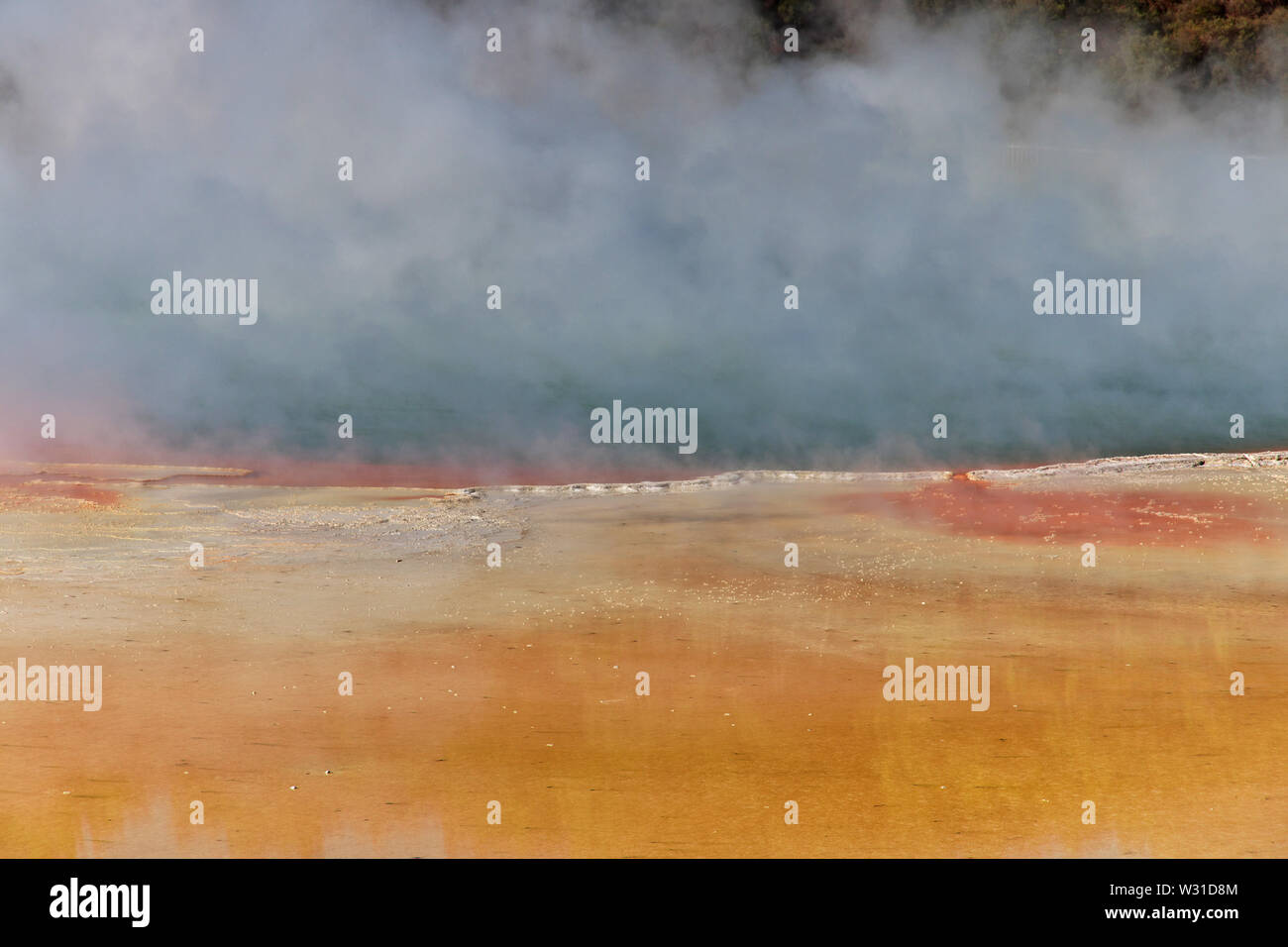 Paese di geyser, Rotorua, Nuova Zelanda Foto Stock