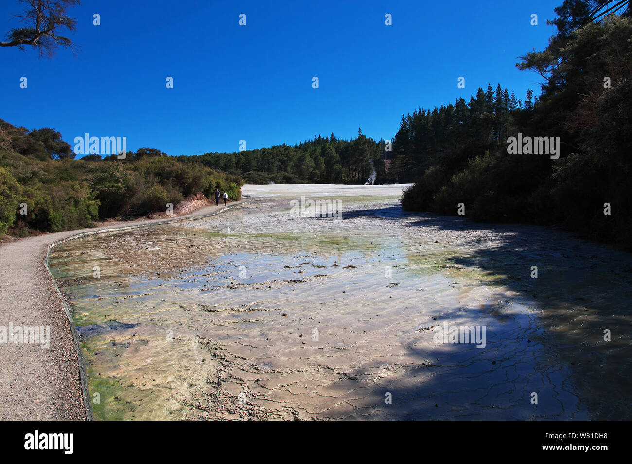 Paese di geyser, Rotorua, Nuova Zelanda Foto Stock