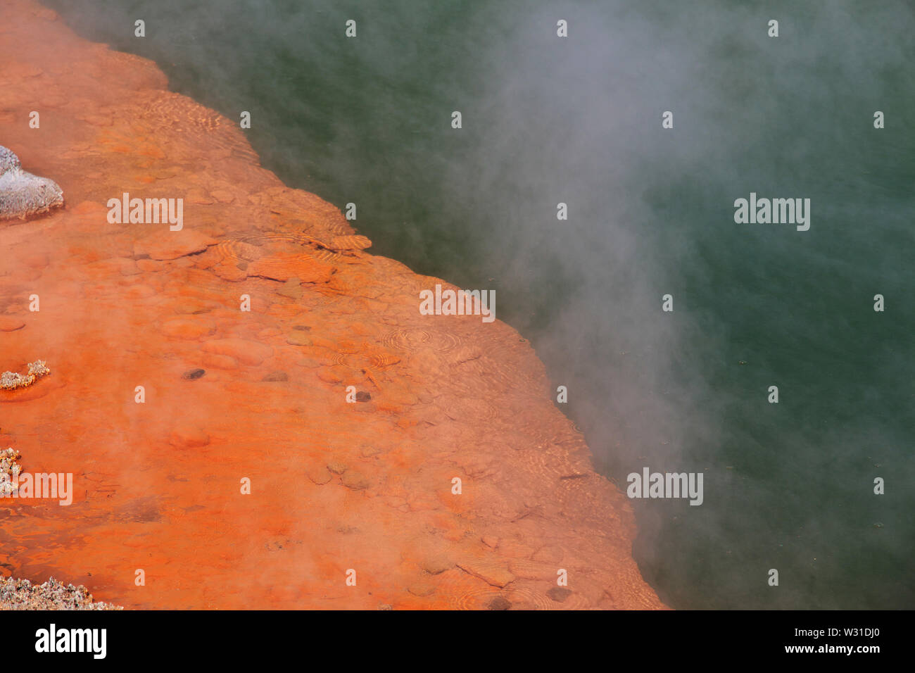 Paese di geyser, Rotorua, Nuova Zelanda Foto Stock