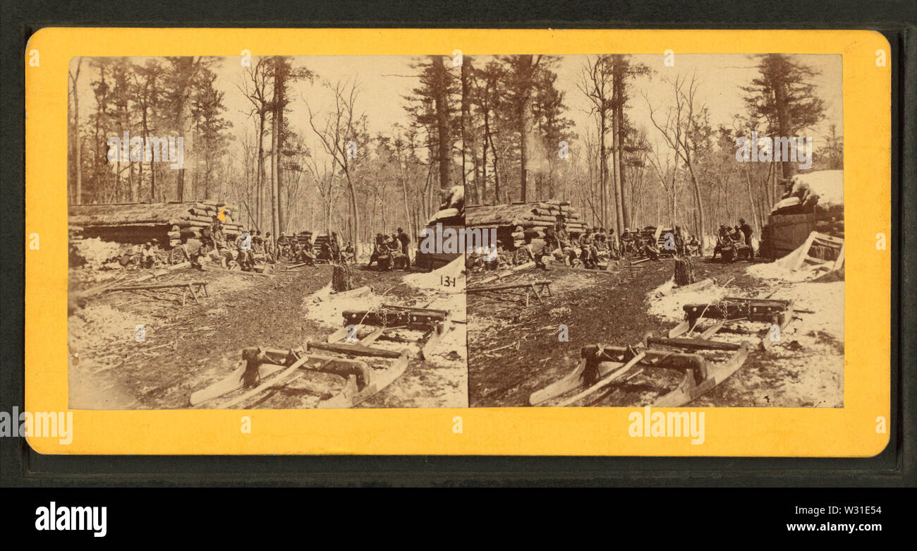 Pineries del Minnesota -- scarico, da Upton, B F (Benjamin Franklin), 1818 o 1824-dopo il 1901 2 Foto Stock