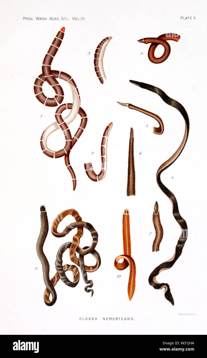 Il procedimento della Washington Academy of Sciences Volume 3 piastra V Foto Stock