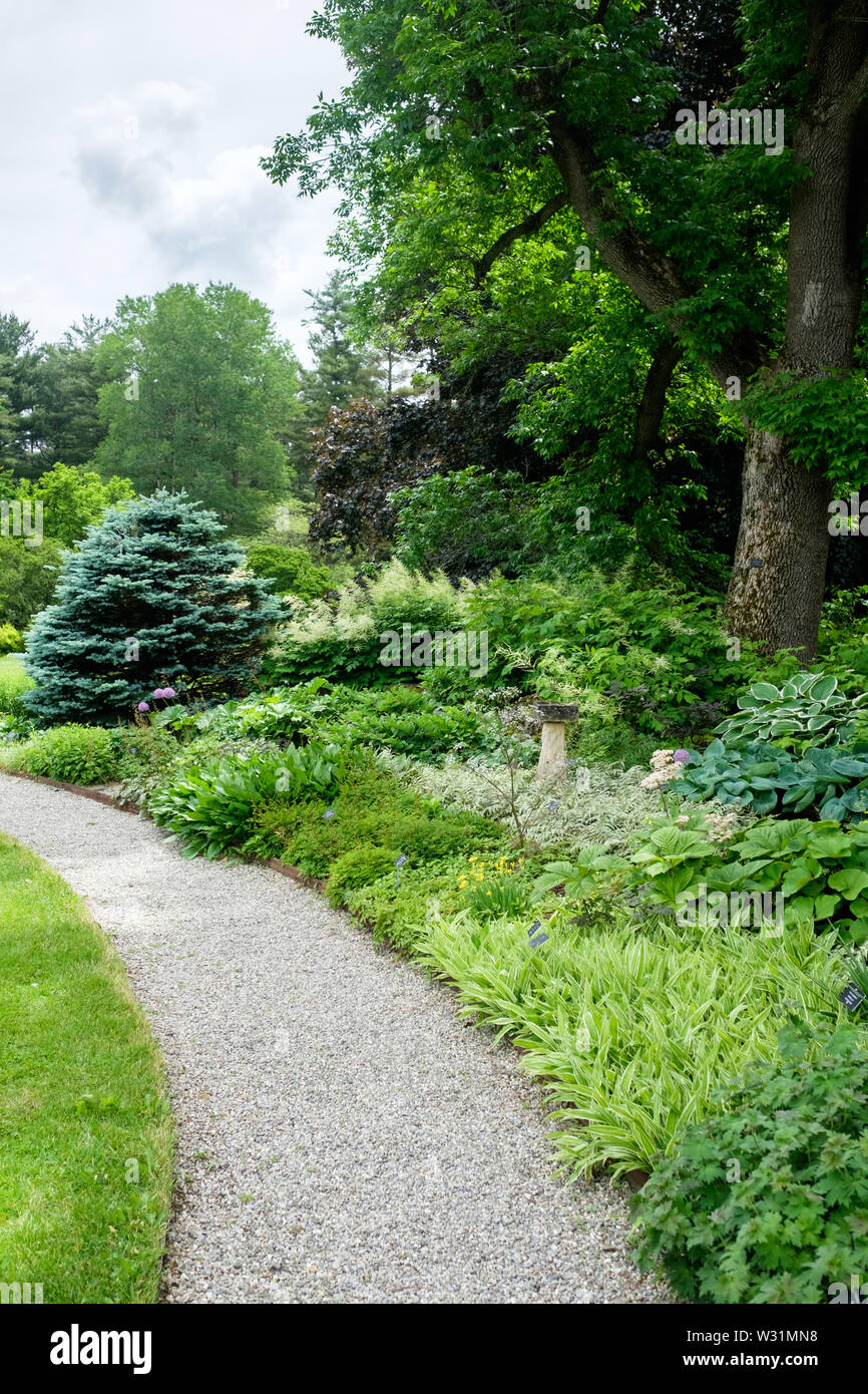 Un percorso attraverso la perenne giardino in Berkshire Giardino Botanico a Stockbridge, Massachusetts all'inizio dell'estate. Foto Stock