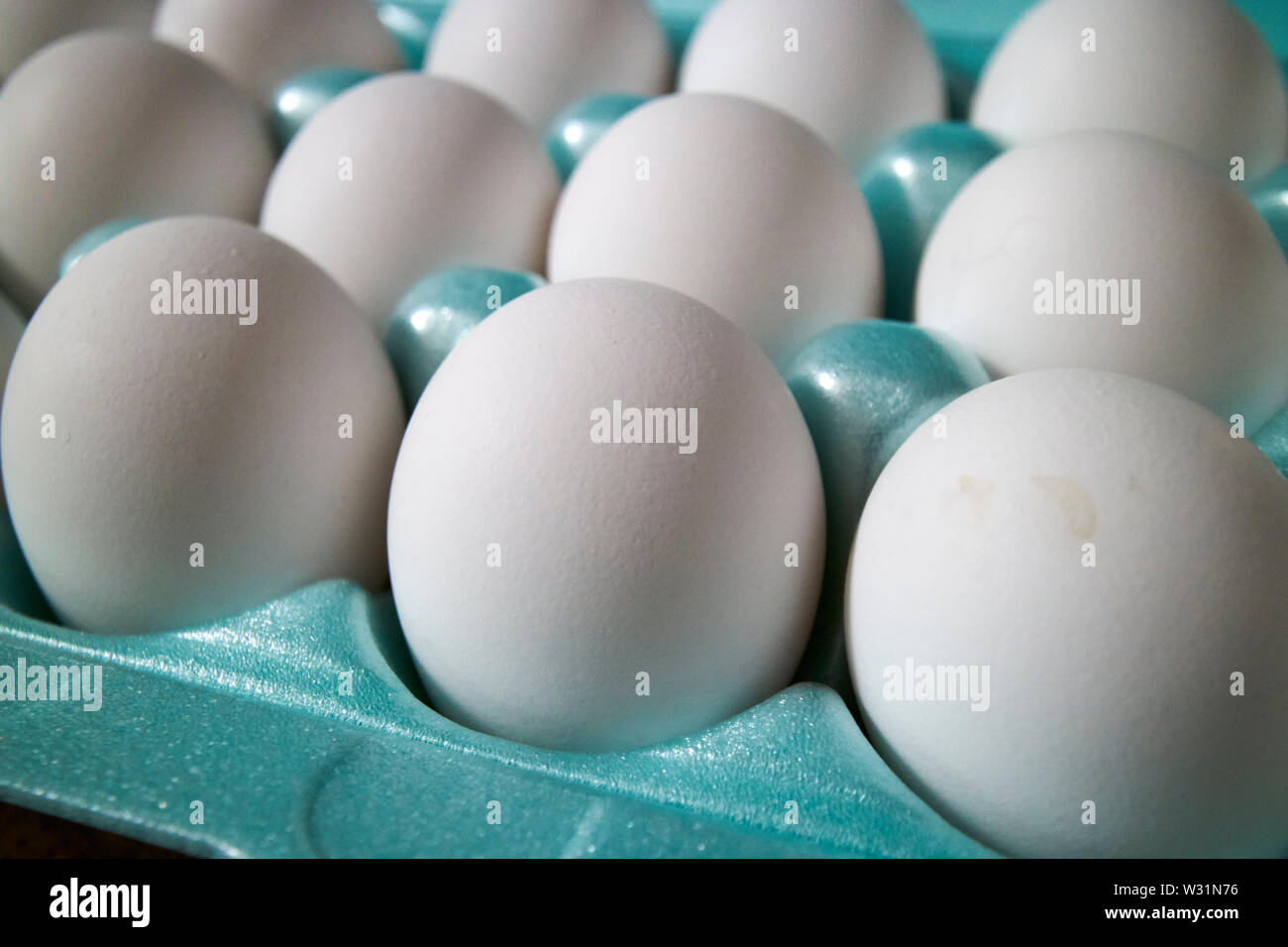 Styrofoam confezione di uova bianco negli Stati Uniti Stati Uniti d'America Foto Stock