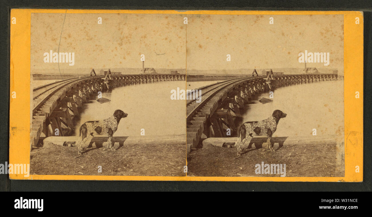 Ponte ferroviario con un cane in primo piano, da root, Samuele, 1819-1889 Foto Stock