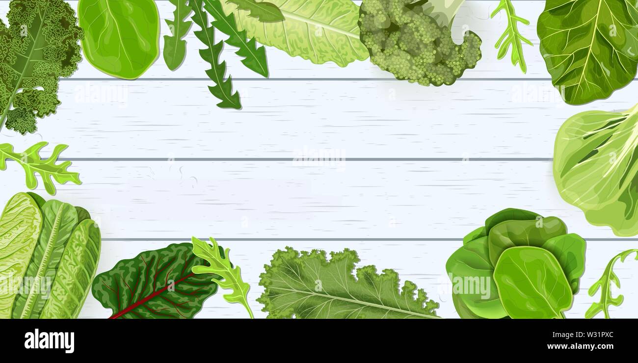 Dark verdure a foglia verde sul telaio in legno bianco shabby scrivania. illustrazione vettoriale. per decorazione, fresche Illustrazione Vettoriale