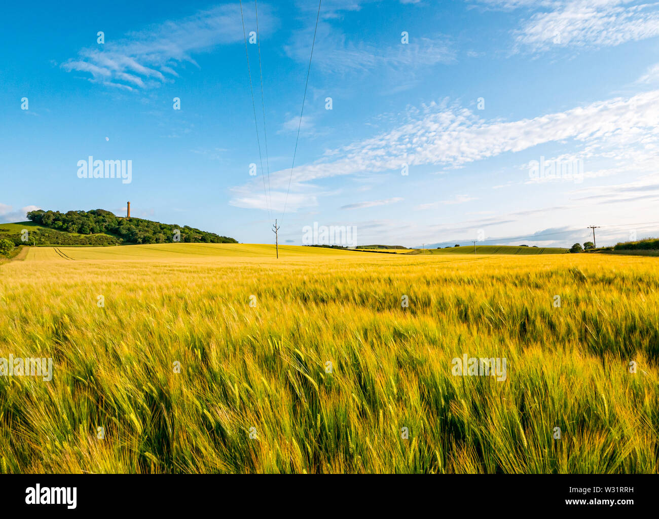 East Lothian, Scozia, Regno Unito, 11 luglio 2019. Regno Unito: Meteo il paesaggio agricolo baciata dal caldo sole serale. Un colorato raccolto di orzo campo con cielo blu e fiera wispy nuvole. Il Victorian Hopetoun monumento su Byres collina con la luna visibili nel cielo Foto Stock